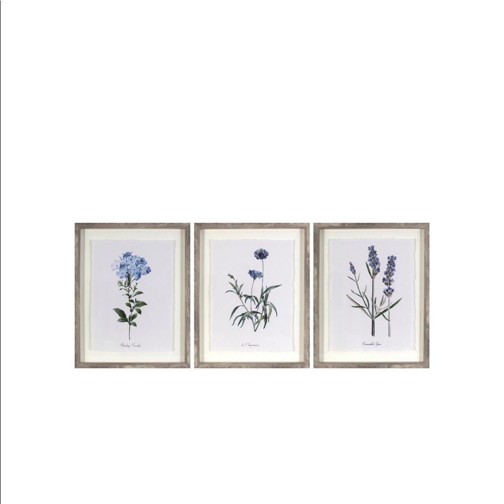 Framed Botanical Wall Art (x3)